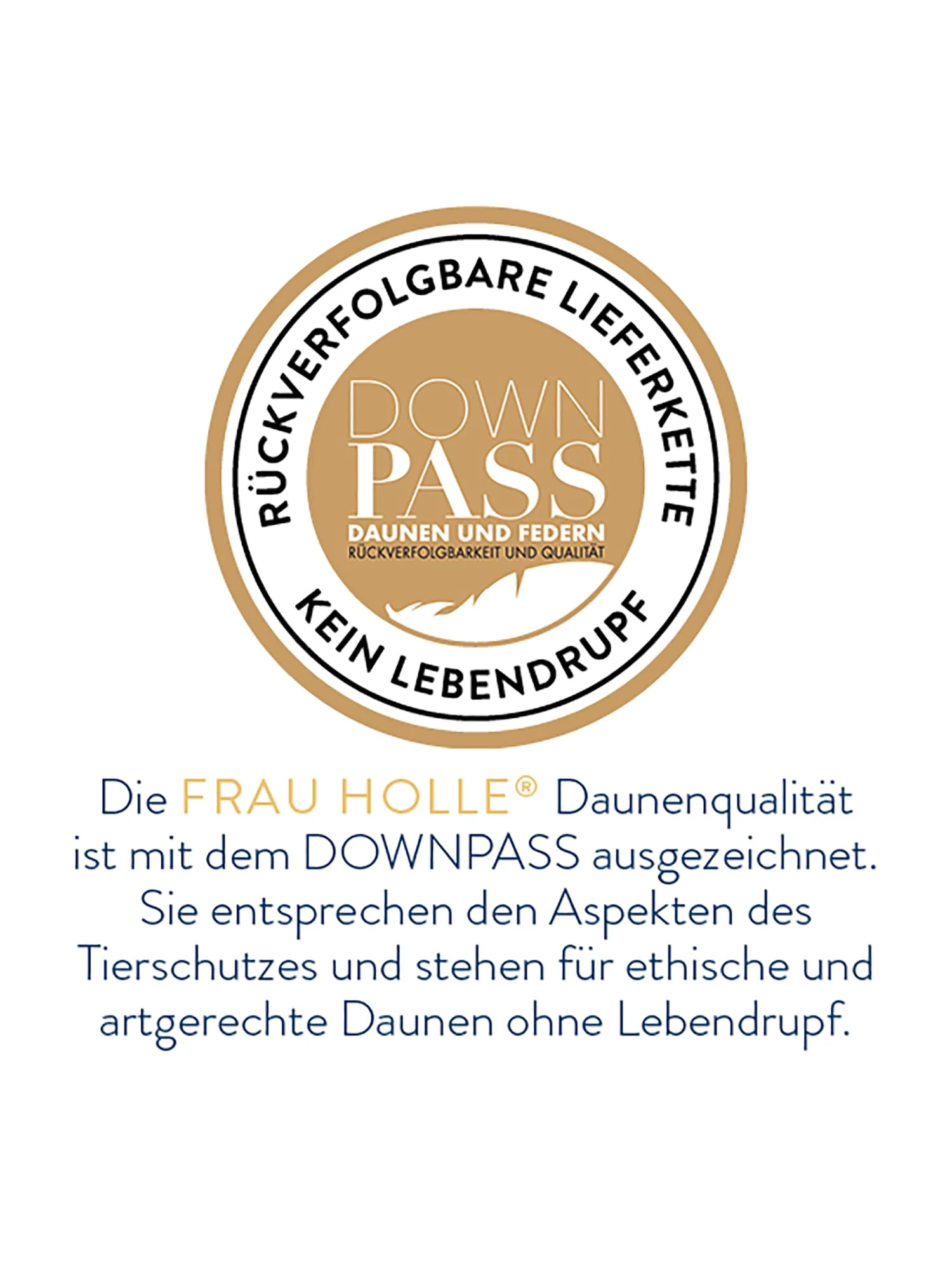 Frau Holle Arosa Sommerbettdecke In Weiß – Bild 4