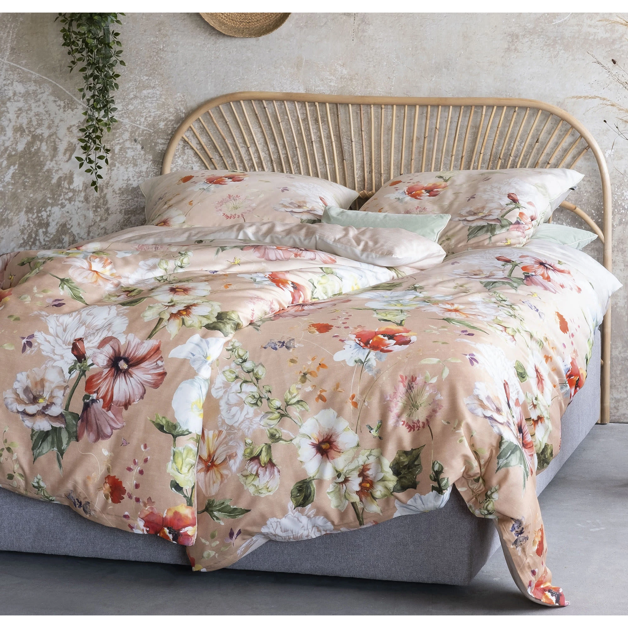 Irisette Bettwäsche In Apricot – Bild 2