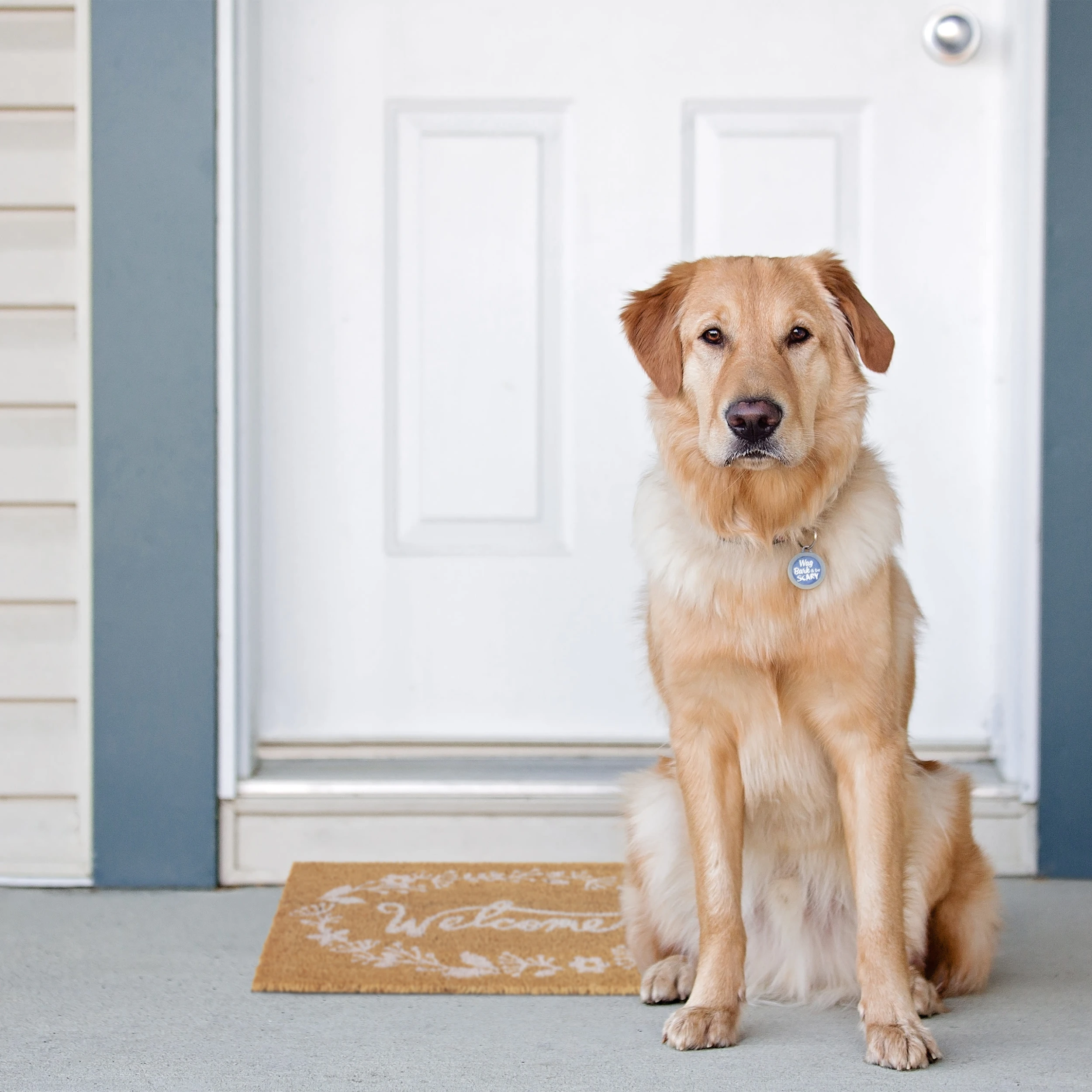 Relaxdays Fußmatte "Welcome" In Natur/ Weiß - 60 X 40 Cm – Bild 5